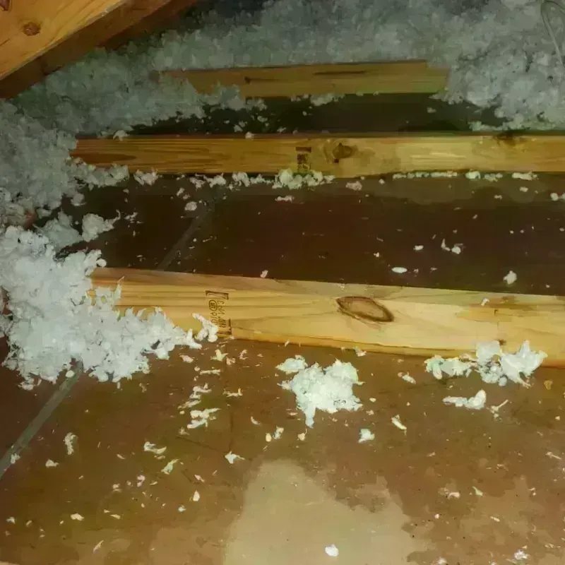 Attic Water Damage in Brighton, MI