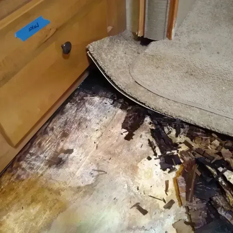 Wood Floor Water Damage in Brighton, MI